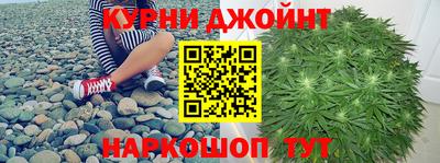 крисы Ипатово